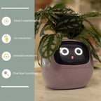 Smart Planter Fun 🌱🌼🌻
