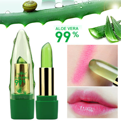 Lipstick Gloss  Moisturizer 💄🍃