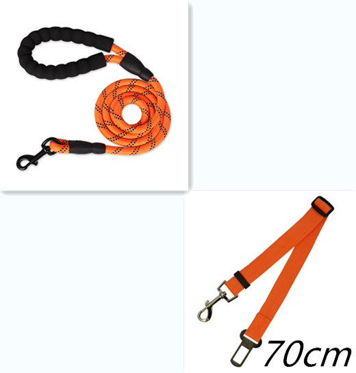 Experience the Joy of Walking Your Dog with Our Reflective Dog Leash! 🐾✨