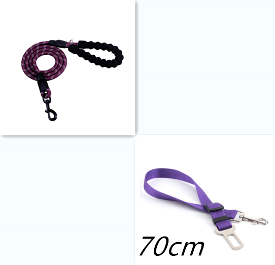 Experience the Joy of Walking Your Dog with Our Reflective Dog Leash! 🐾✨
