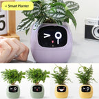 Smart Planter Fun 🌱🌼🌻