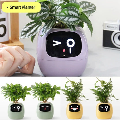 Smart Planter Fun 🌱🌼🌻