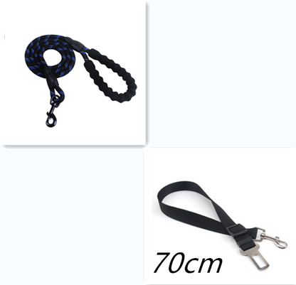 Experimenta la alegría de pasear a tu perro con nuestra correa reflectante para perros. 🐾✨