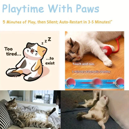 Cat Interactive Ball 😺✨