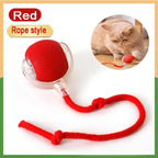 Cat Interactive Ball 😺✨