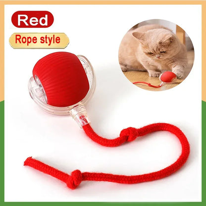 Cat Interactive Ball 😺✨