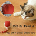 Cat Interactive Ball 😺✨