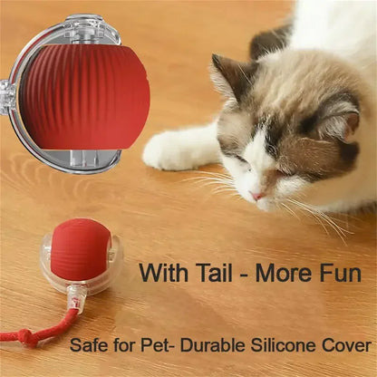 Cat Interactive Ball 😺✨