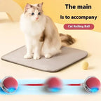 Cat Interactive Ball 😺✨