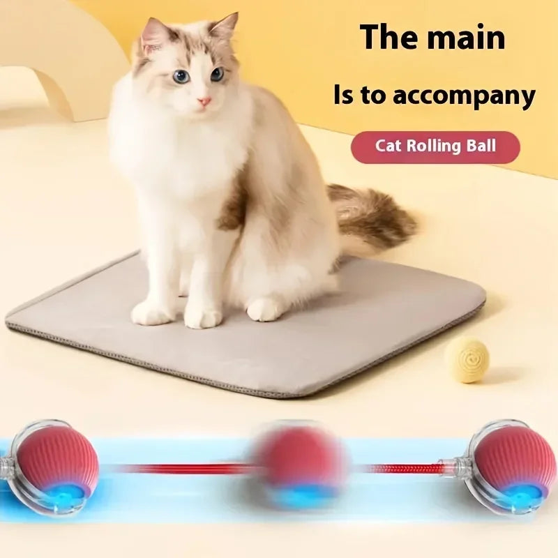 Cat Interactive Ball 😺✨