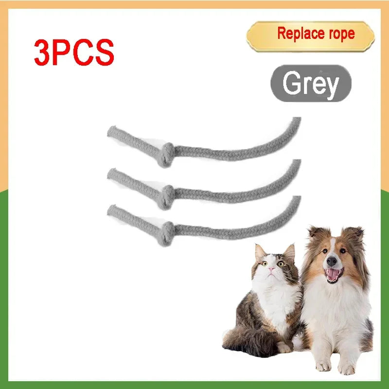 Cat Interactive Ball 😺✨