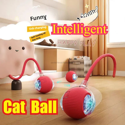 Cat Interactive Ball 😺✨