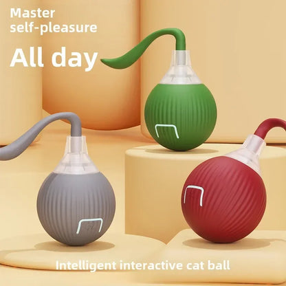 Cat Interactive Ball 😺✨
