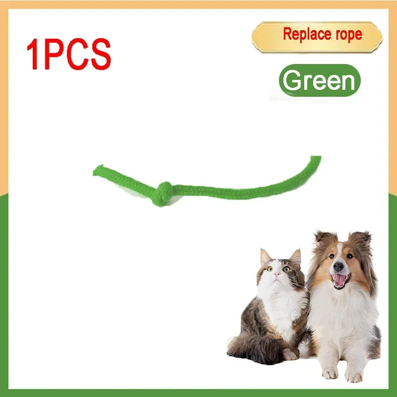 Cat Interactive Ball 😺✨