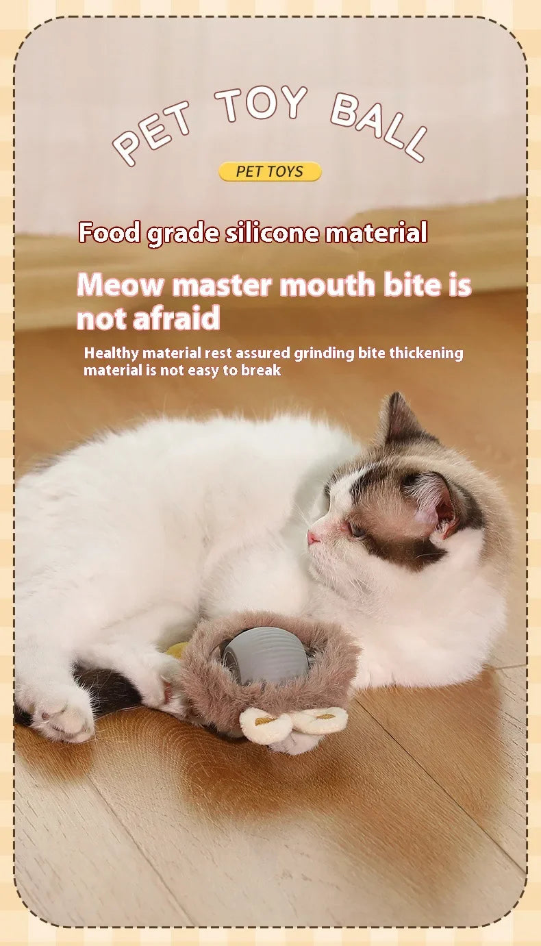 Cat Interactive Ball 😺✨