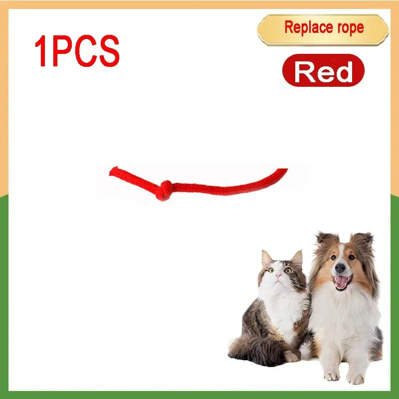 Cat Interactive Ball 😺✨