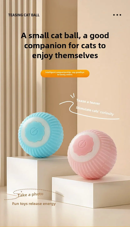 Cat Interactive Ball 😺✨