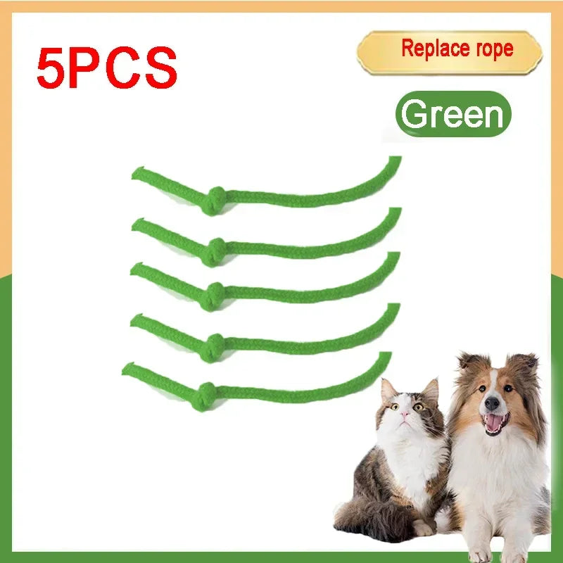 Cat Interactive Ball 😺✨