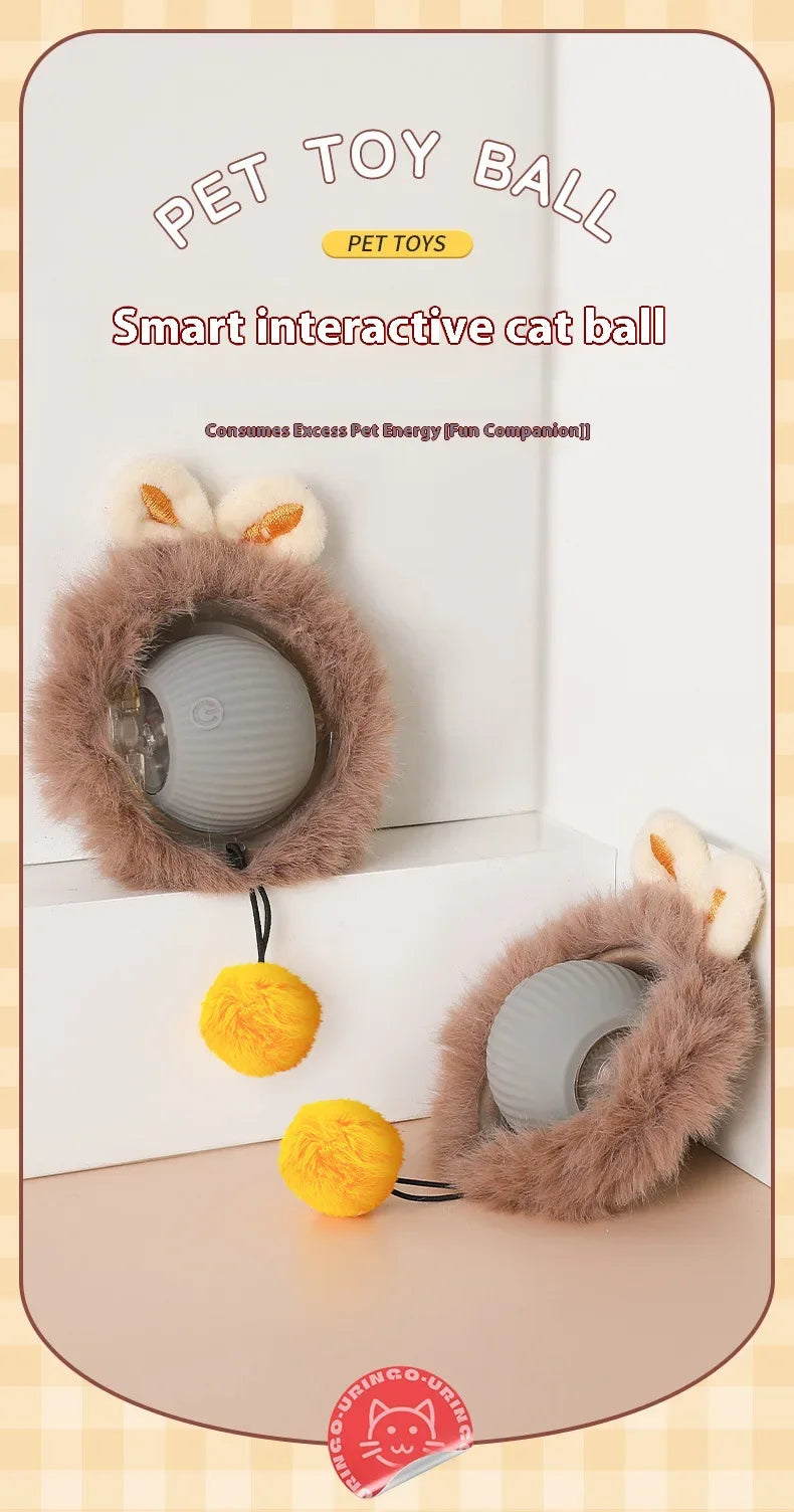 Cat Interactive Ball 😺✨