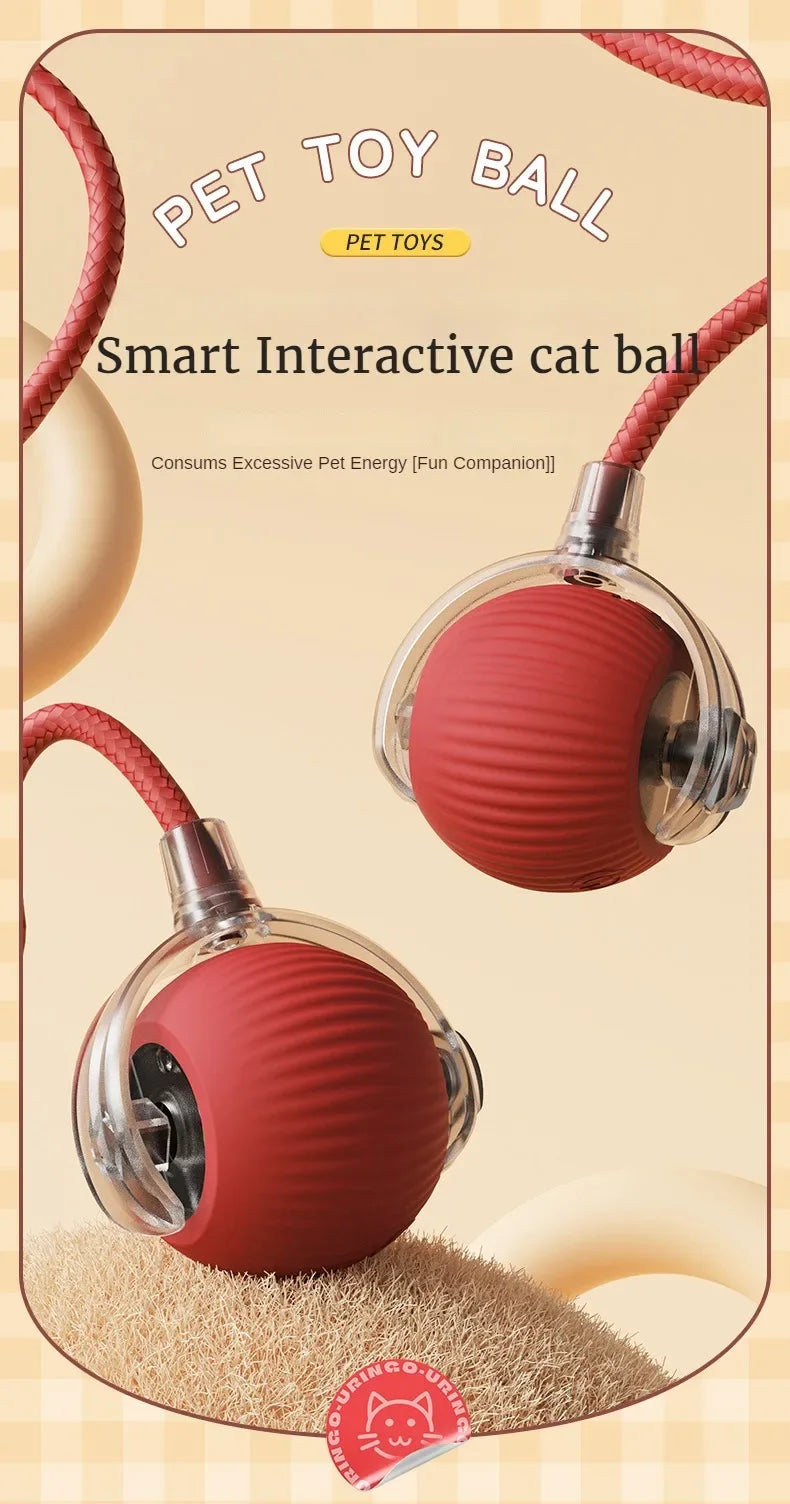 Cat Interactive Ball 😺✨
