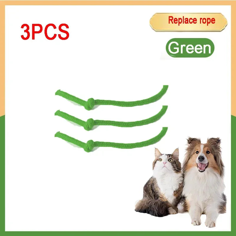 Cat Interactive Ball 😺✨