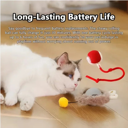 Cat Interactive Ball 😺✨