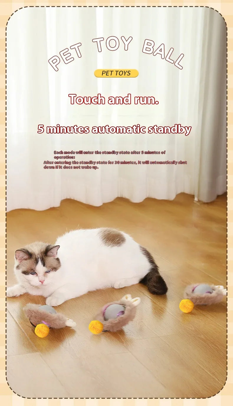 Cat Interactive Ball 😺✨