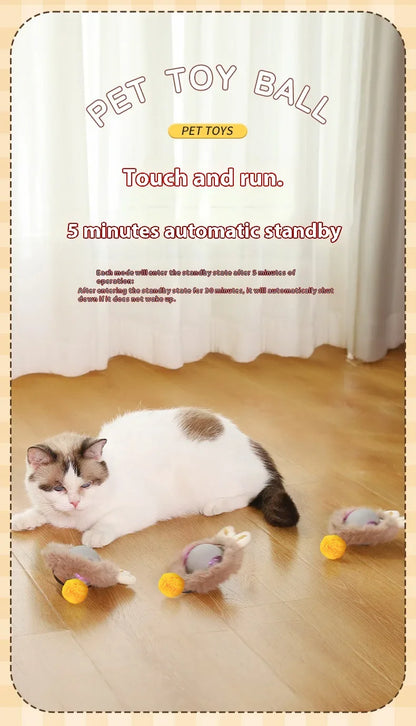 Cat Interactive Ball 😺✨