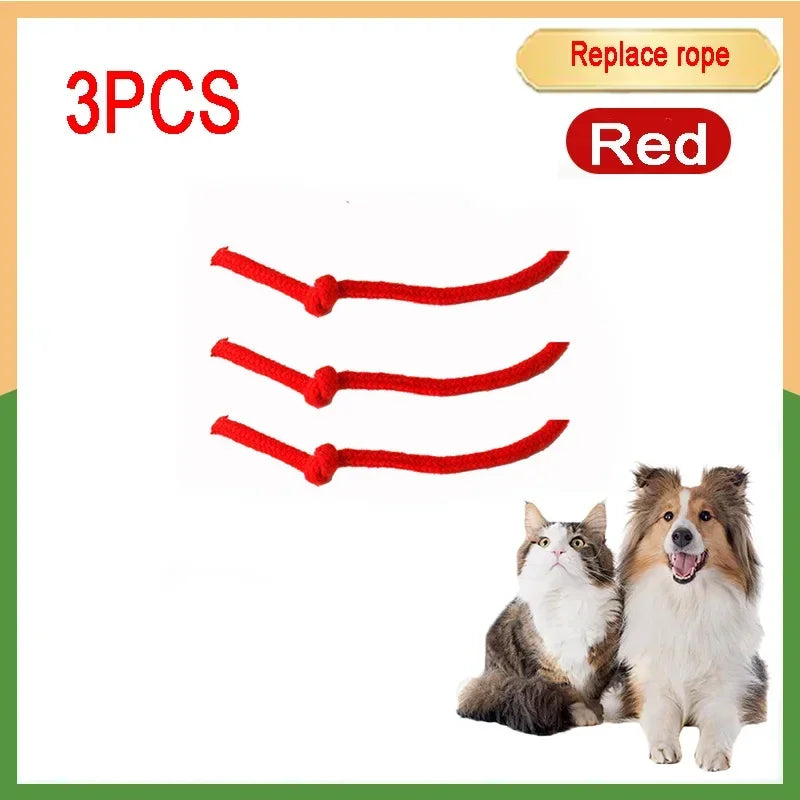 Cat Interactive Ball 😺✨