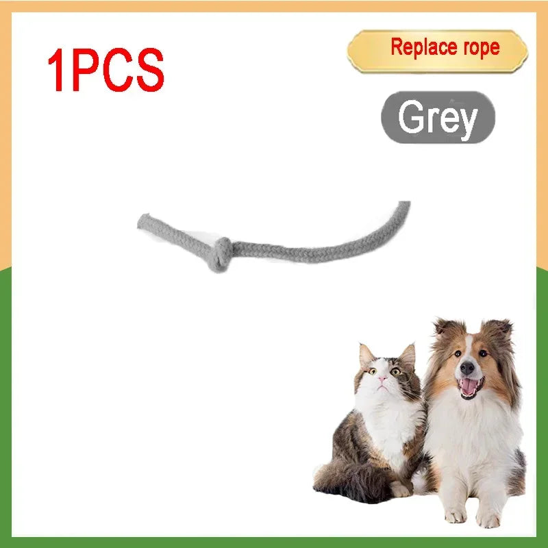 Cat Interactive Ball 😺✨