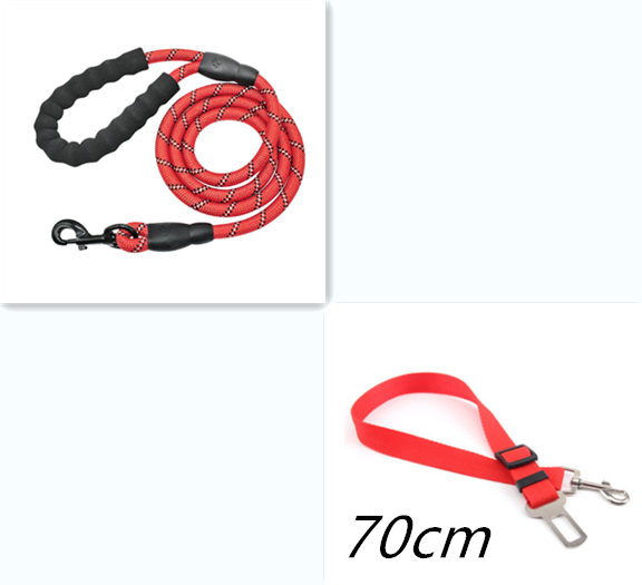 Experience the Joy of Walking Your Dog with Our Reflective Dog Leash! 🐾✨