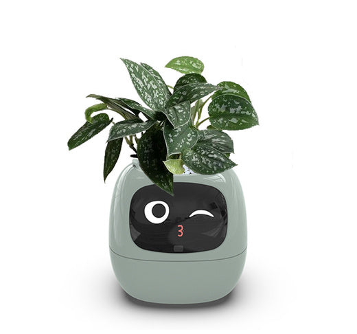 Smart Planter Fun 🌱🌼🌻